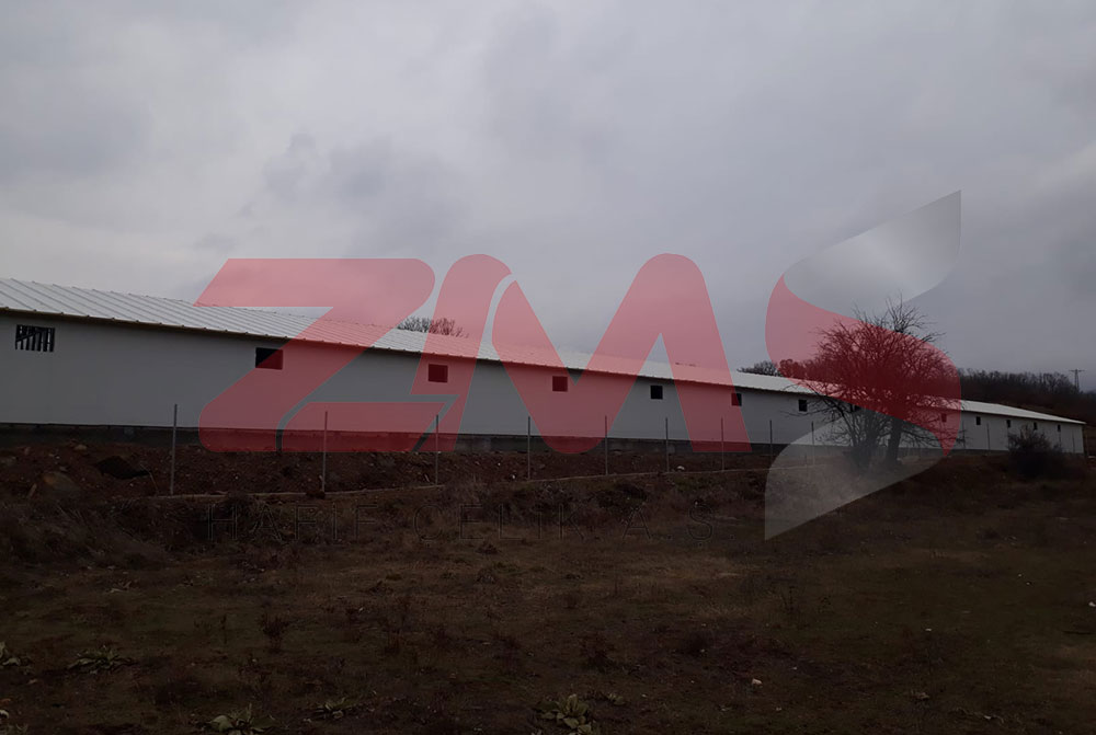 ZMS Çelik مزرعة الدواجن 981 متر مربع 